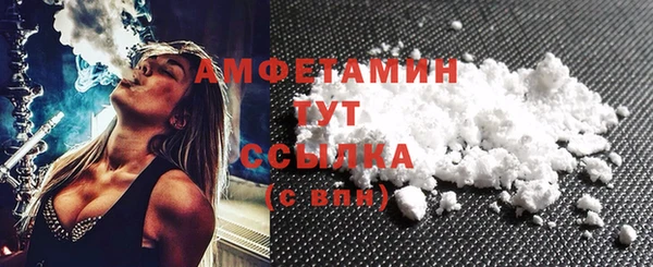 спиды Гусев