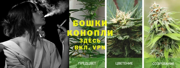 спиды Гусев