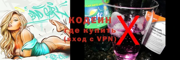 спиды Гусев