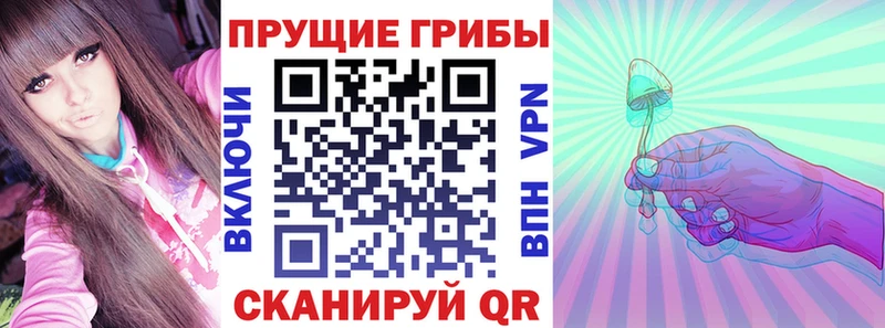 Галлюциногенные грибы Psilocybine cubensis  Пестово 